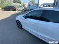 SEAT Ibiza FR 1.5 TSI 150cv XCLUSIVE DSG BVA Blanc - thumbnail 23