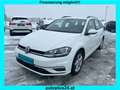 Volkswagen Golf Variant Rabbit 40 2,0 TDI 4Motion *ACC* *AHK* Weiß - thumbnail 1