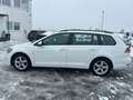 Volkswagen Golf Variant Rabbit 40 2,0 TDI 4Motion *ACC* *AHK* Weiß - thumbnail 8