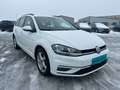 Volkswagen Golf Variant Rabbit 40 2,0 TDI 4Motion *ACC* *AHK* Weiß - thumbnail 3