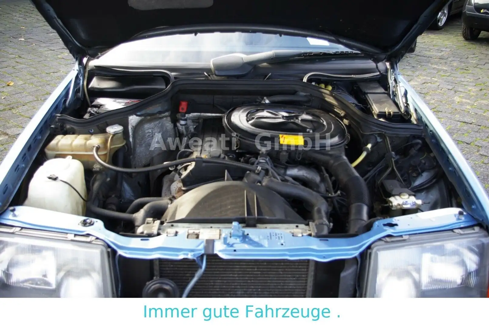 Mercedes-Benz 230 CE H Kennzeichen Bleu - 2