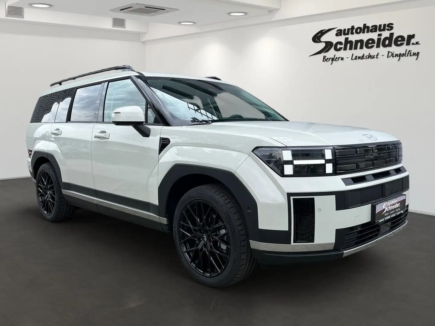 Hyundai SANTA FE MY25 1.6 TGDi HEV 4WD INTRO EDITION HuD/BOSE/ASSIS Beige - 2