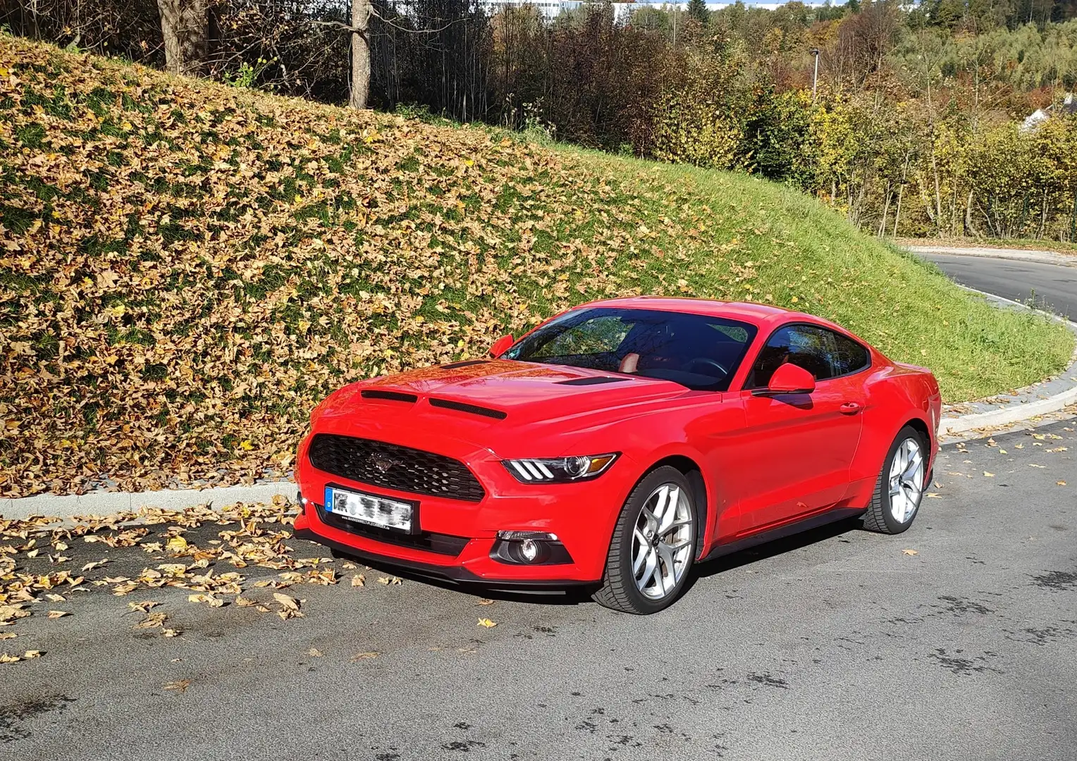 Ford Mustang Fastback Rot - 1
