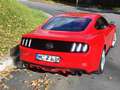 Ford Mustang Fastback Rot - thumbnail 8