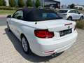 BMW 218 218i Cabrio Advantage Navi+Led+Shz+Pdc Blanc - thumbnail 6