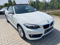 BMW 218 218i Cabrio Advantage Navi+Led+Shz+Pdc Blanc - thumbnail 5