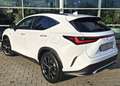 Lexus NX 450h+ E-FOUR F SPORT*Panoramaglasdach* Blanco - thumbnail 4
