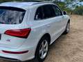 Audi Q5 S line Bianco - thumbnail 7