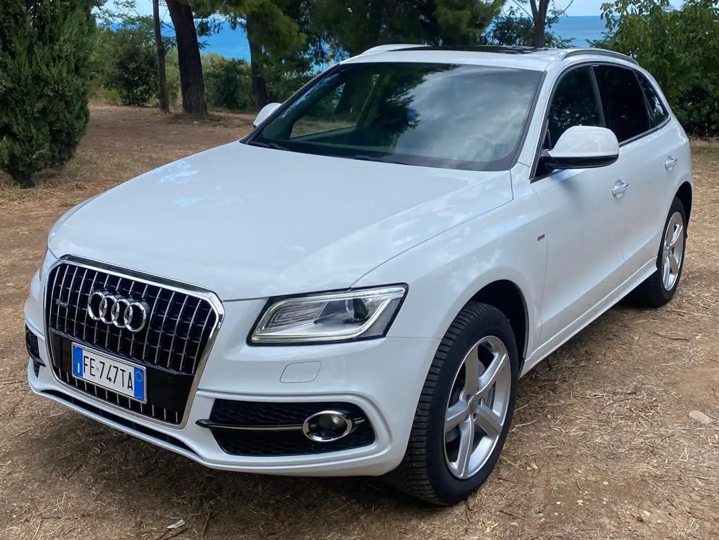 Audi Q5 S line Bianco - 1