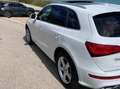 Audi Q5 S line Bianco - thumbnail 8