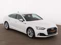 Audi A5 SB 40 TDI quattro advanced Aut LED RADAR NAVI Weiß - thumbnail 4