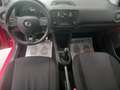 Skoda Citigo 5 Porte 1.0  Ambition Rosso - thumbnail 10