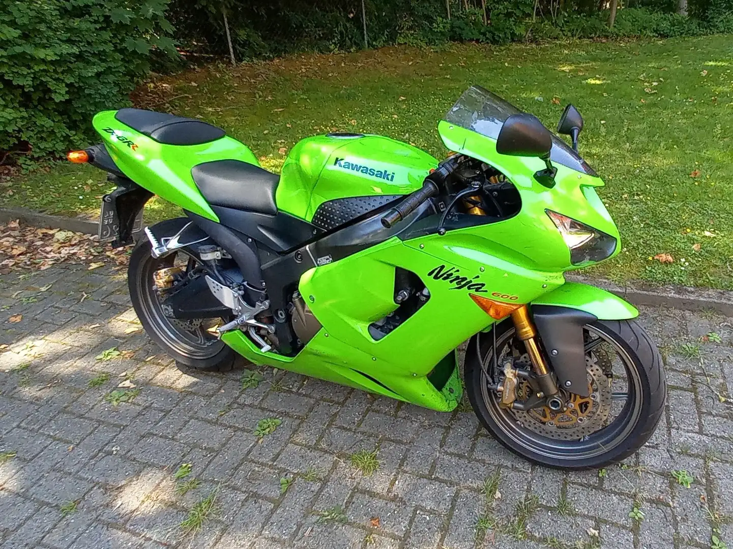 Kawasaki Ninja ZX-6R ZX-6RR Vert - 1