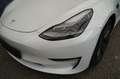 Tesla Model 3 Long Range AWD *82 kWh*AHK* Wit - thumbnail 14
