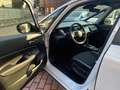 Honda Jazz Jazz Crosstar 1.5 hev ecvt Bianco - thumbnail 5