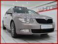Skoda Superb 3.6 V6 4x4 Panorama Klappenauspuffanlage Bronz - thumbnail 3