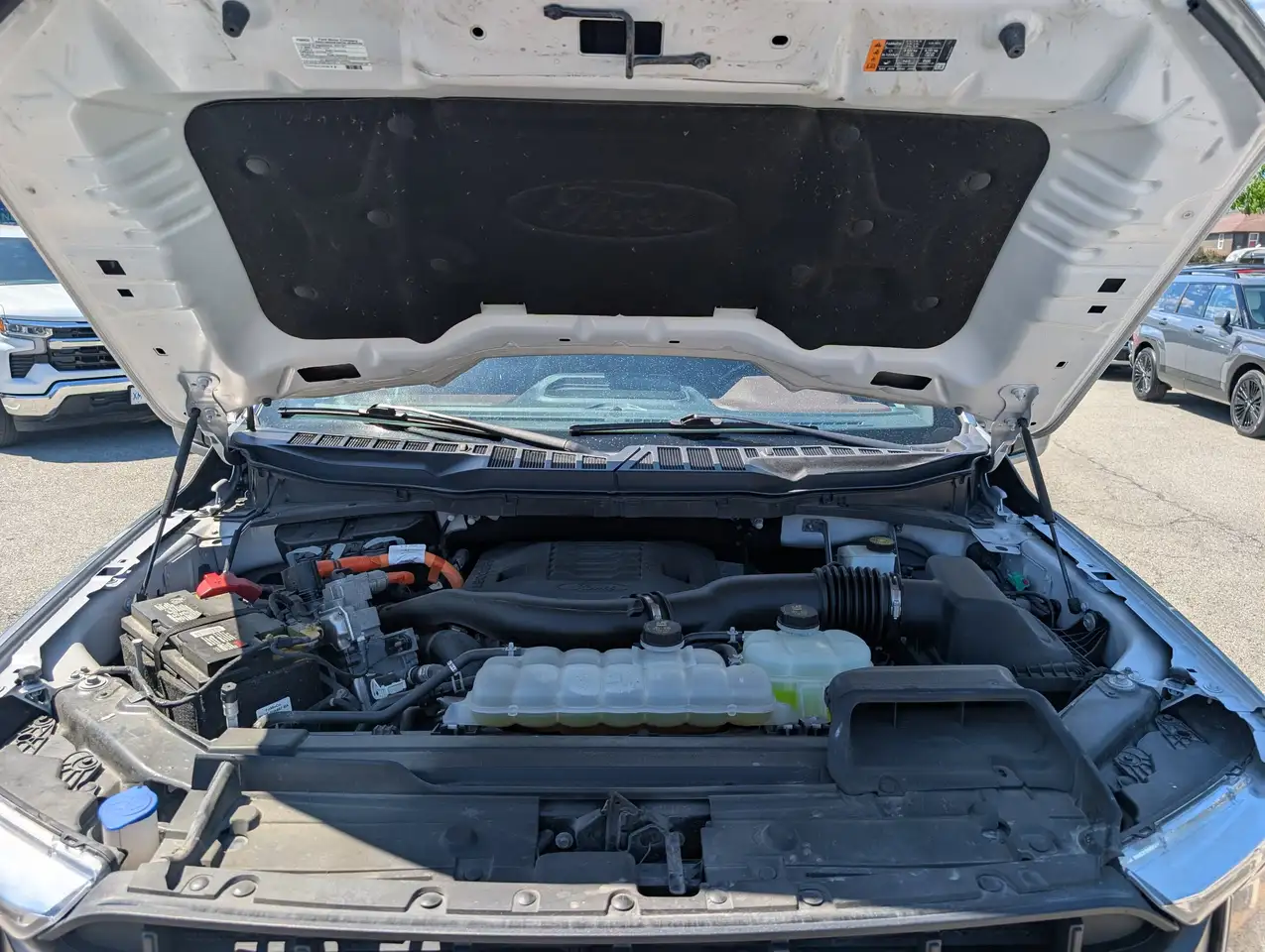 Ford F 150 photo Ford F 150
