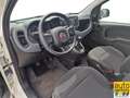 Fiat Panda 1.0 firefly hybrid City Cross s Blanc - thumbnail 8