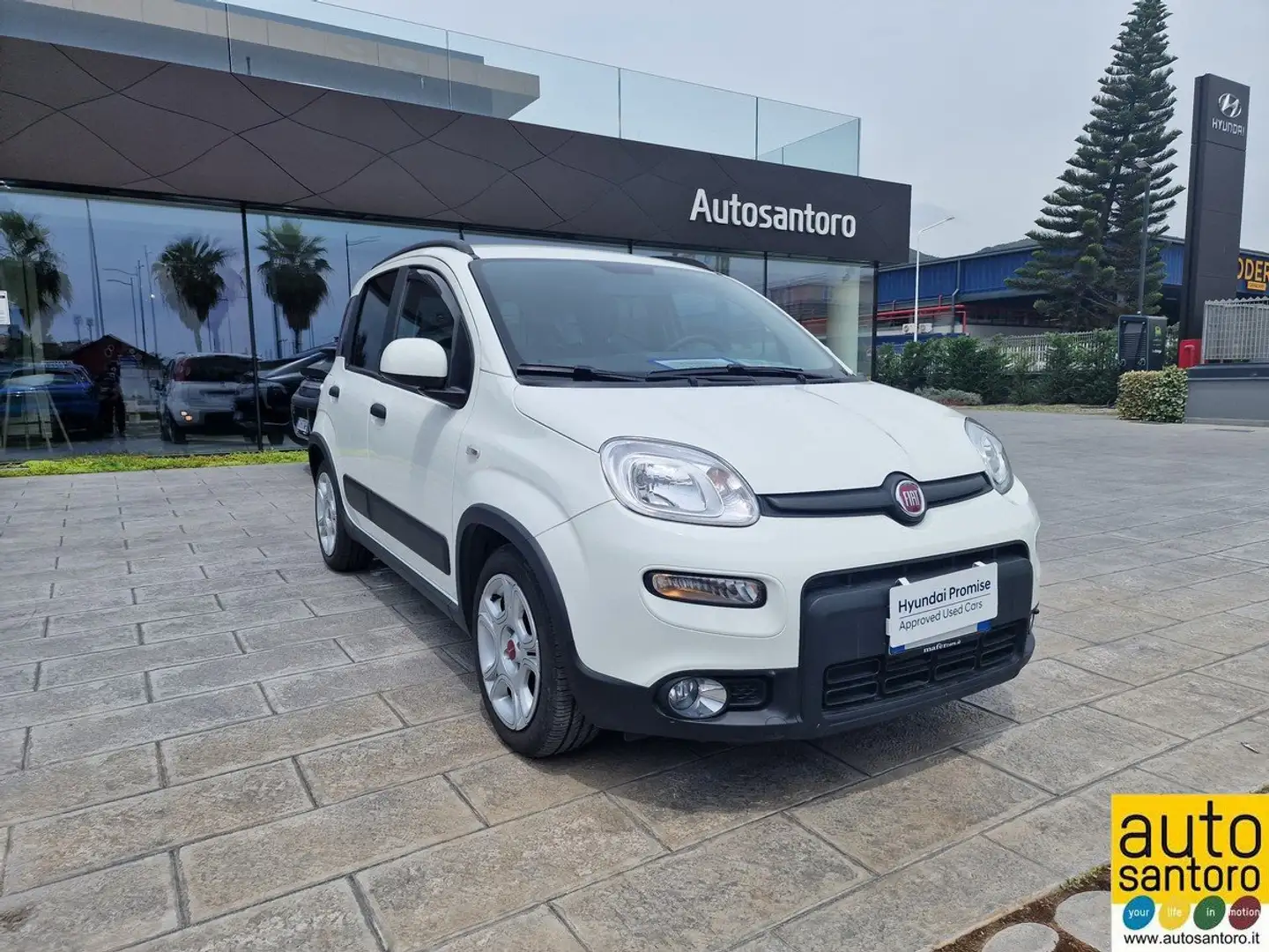 Fiat Panda 1.0 firefly hybrid City Cross s Blanc - 2