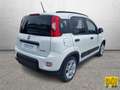 Fiat Panda 1.0 firefly hybrid City Cross s Blanc - thumbnail 6