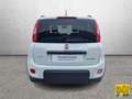 Fiat Panda 1.0 firefly hybrid City Cross s Blanc - thumbnail 5