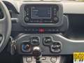 Fiat Panda 1.0 firefly hybrid City Cross s Blanc - thumbnail 17