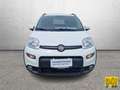 Fiat Panda 1.0 firefly hybrid City Cross s Blanc - thumbnail 2