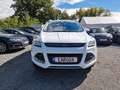 Ford Kuga Sync Edition 1.5 EcoBoost 1.HAND Weiß - thumbnail 3