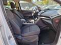 Ford Kuga Sync Edition 1.5 EcoBoost 1.HAND Weiß - thumbnail 16