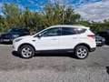 Ford Kuga Sync Edition 1.5 EcoBoost 1.HAND Weiß - thumbnail 2
