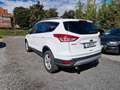 Ford Kuga Sync Edition 1.5 EcoBoost 1.HAND Weiß - thumbnail 7