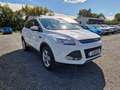 Ford Kuga Sync Edition 1.5 EcoBoost 1.HAND Weiß - thumbnail 4
