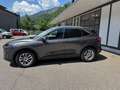 Ford Kuga 2,0 EcoBlue AWD Titanium X Aut. Grau - thumbnail 2