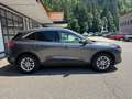 Ford Kuga 2,0 EcoBlue AWD Titanium X Aut. Grau - thumbnail 5