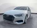 Audi A4 40TDI quattro S tronic advanced PanoDac Weiß - thumbnail 13