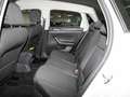 Volkswagen Polo 1,0 TSI Comfortline ACC Navi Klima Weiß - thumbnail 8