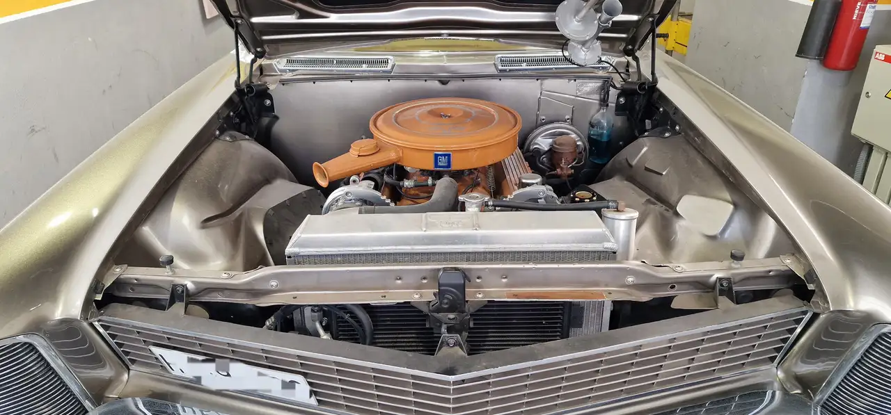 Buick Riviera En Perfecto Estado, foto 11