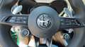 Alfa Romeo Tonale 1.6 diesel 130 CV TCT6 Veloce Verde - thumbnail 13