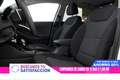 Hyundai IONIQ 1.6 PHEV DCT Tecno 141cv Auto 5P # NAVY, PARKTRONI Blanco - thumbnail 19