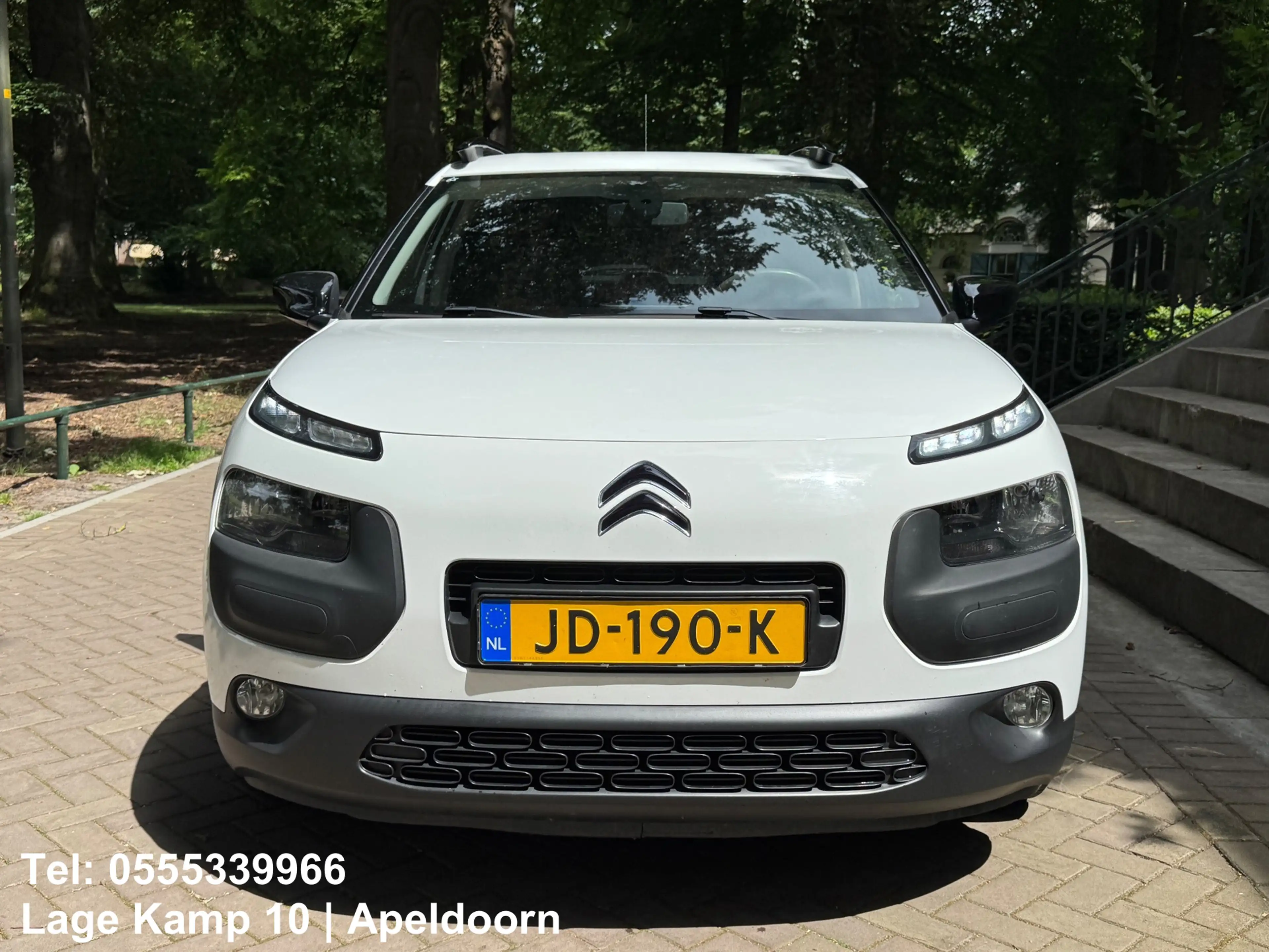 Citroen C4 Cactus 1.2 PureTech Shine Carplay Camera Climate Cruise C — photo 6