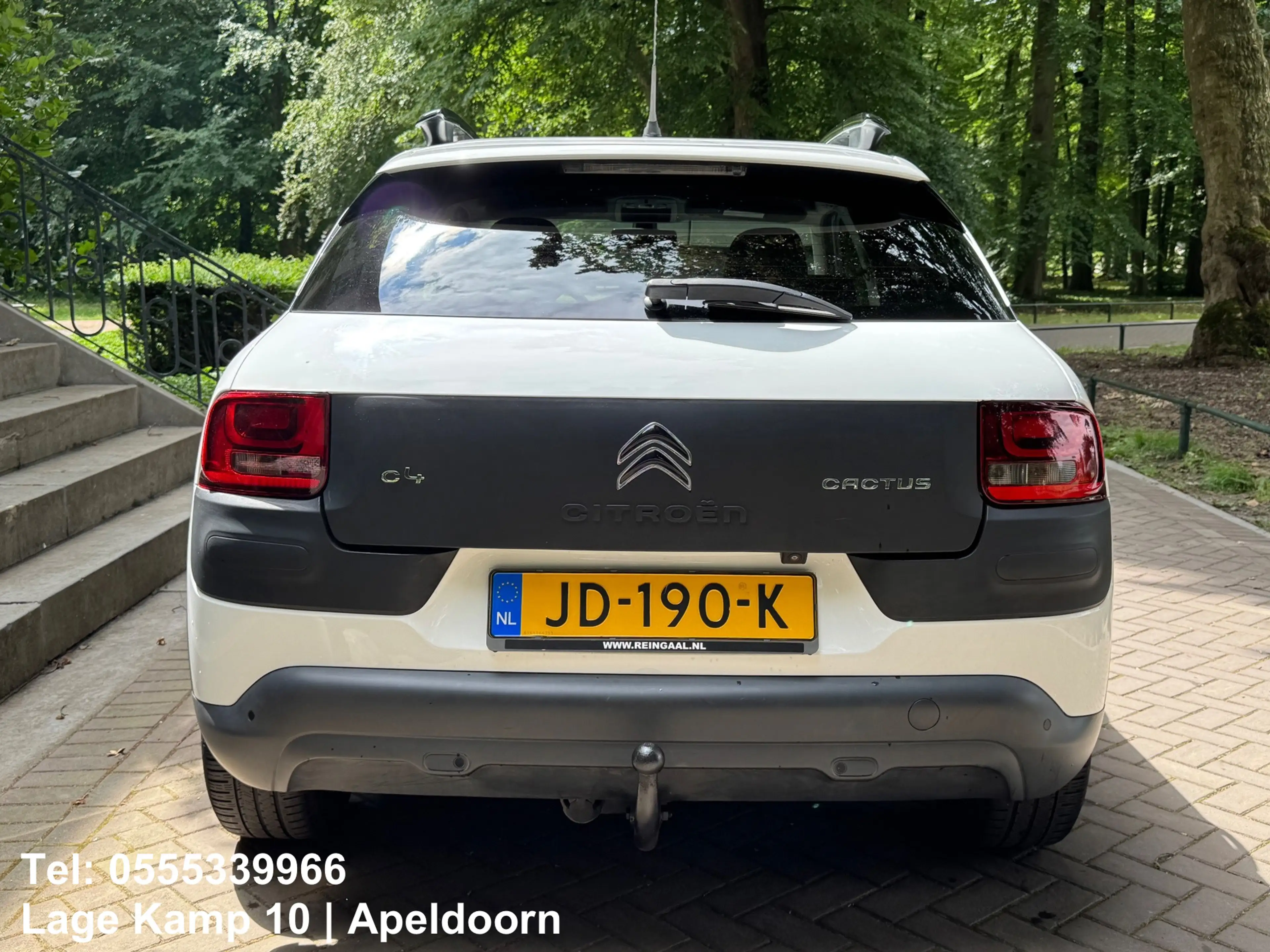 Citroen C4 Cactus 1.2 PureTech Shine Carplay Camera Climate Cruise C — photo 7