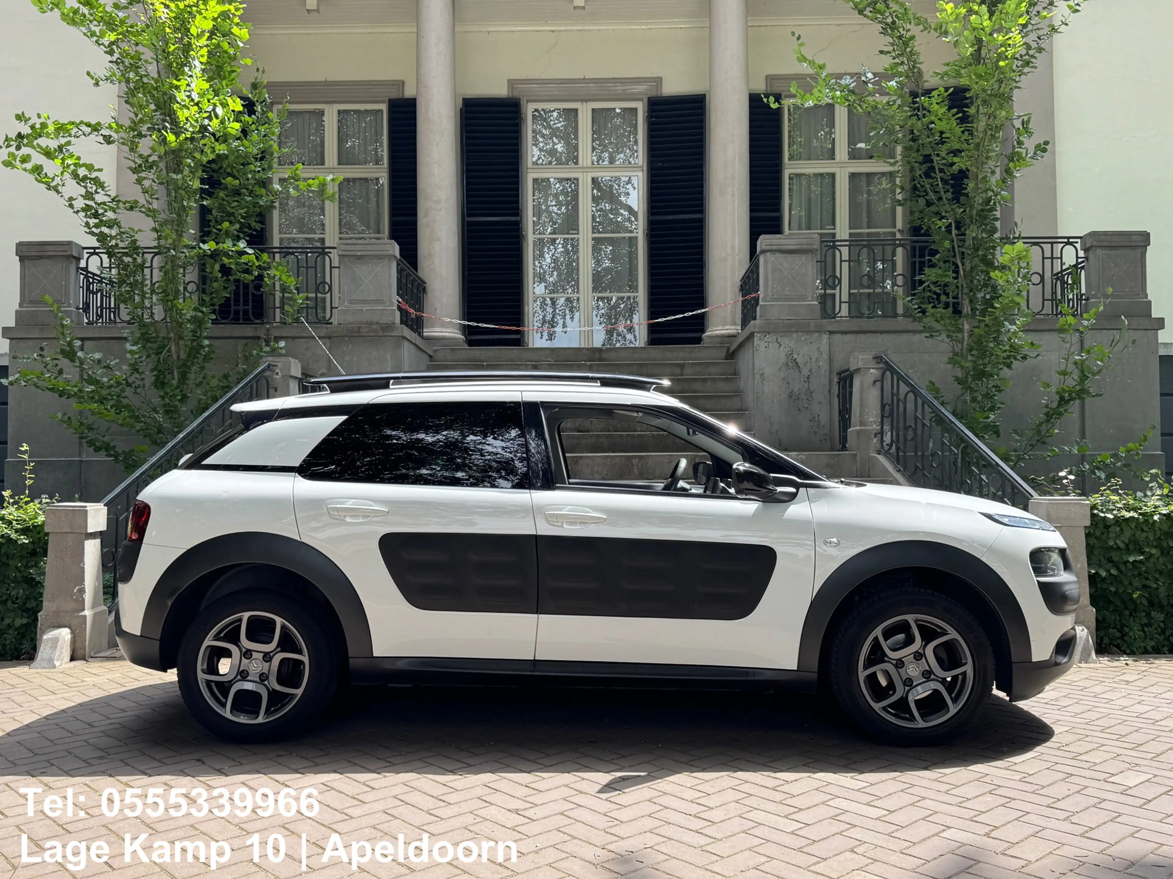 Citroen C4 Cactus 1.2 PureTech Shine Carplay Camera Climate Cruise C — photo 3