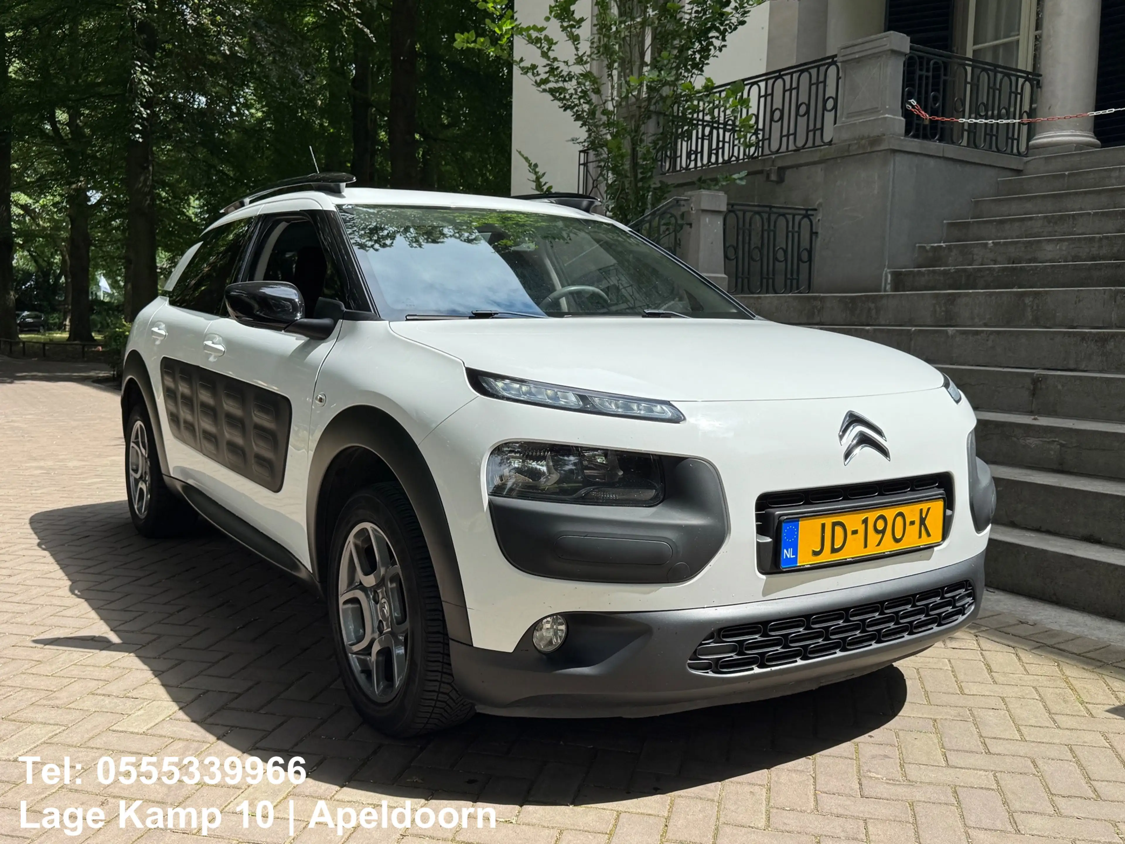 Citroen C4 Cactus 1.2 PureTech Shine Carplay Camera Climate Cruise C — photo 4