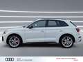 Audi SQ5 TDI tiptronic AHK PANO STHZG MATRIX Luft 21" Weiß - thumbnail 3