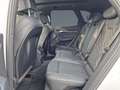 Audi SQ5 TDI tiptronic AHK PANO STHZG MATRIX Luft 21" Weiß - thumbnail 19