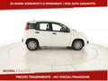 Fiat Panda III 2024 Panda 1.0 firefly hybrid s&s 70cv 5p.ti Bianco - thumbnail 4
