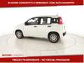 Fiat Panda III 2024 Panda 1.0 firefly hybrid s&s 70cv 5p.ti Bianco - thumbnail 2