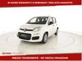 Fiat Panda III 2024 Panda 1.0 firefly hybrid s&s 70cv 5p.ti Bianco - thumbnail 1