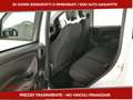 Fiat Panda III 2024 Panda 1.0 firefly hybrid s&s 70cv 5p.ti Bianco - thumbnail 6