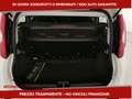 Fiat Panda III 2024 Panda 1.0 firefly hybrid s&s 70cv 5p.ti Bianco - thumbnail 7
